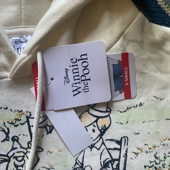 NWT-DISNEY-WINNIE THE POOH & FRIENDS-PULLOVER HOODIE-SIZE X SMALL - Picture 6 of 6